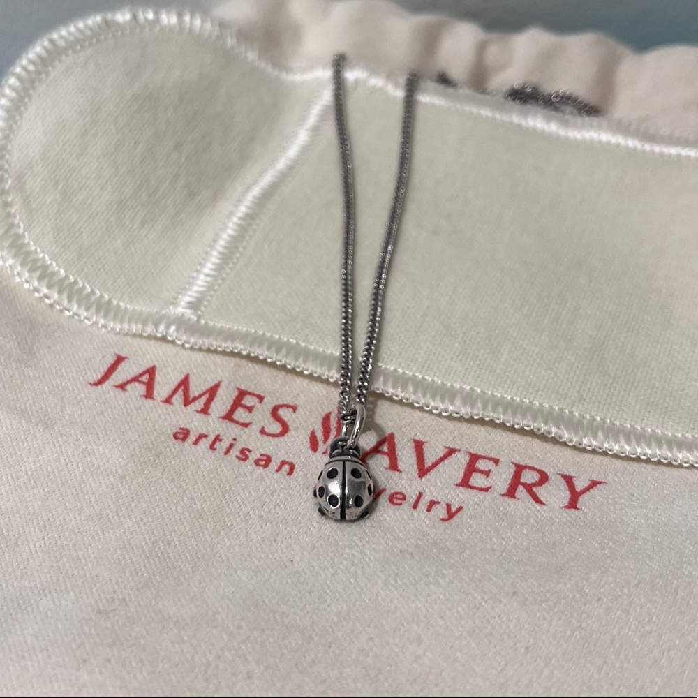 James Avery ladybug on James Avery 18” light curb chain